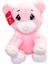 1173 Cute Ayı 30CM 1