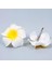 1 Çift 1 Çift Lot Hawai Köpüklü Tac Çiçek Gelinlik Düğün Saç Aksesuarları Parti Saç Tokası Beyaz Plumeria (Yurt Dışından) 3