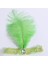 Yeşil Stil 39CM*25CM*3.5CM Tüy Taç Flapper Simli Charleston Kostümü Band Parti Sıcak (Yurt Dışından) 1