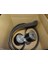 Renault-Mais-Orjinal 117201925R Alternatör Kayış Kiti Dacia Duster Xjd 17- 117201925R 1