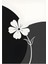 Matisse - Boho - Art Deco - Soyut - Doğa ( 3 Lü Çerçevesiz ) Poster - Afiş - Tablo KR2C01001/ 3