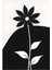 Matisse - Boho - Art Deco - Soyut - Doğa ( 3 Lü Çerçevesiz ) Poster - Afiş - Tablo KR2C01001/ 4