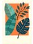 Matisse - Boho - Art Deco - Soyut - Doğa ( 3 Lü Çerçevesiz ) Poster - Afiş - Tablo KR2C01052/ 4