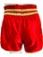 Elite Kick Boks Şort Nakışlı AR10056 3