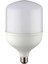YL95 6001 60W 6500K Beyaz Işık LED Torch Ampul 1