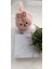 Peluş Çocuk Kışlık Tavşan Kulaklık 3
