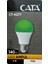 CT-4277 9W Yeşil Işık E27 Duylu LED Ampul 1