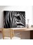 Zebra Desenleri Kanvas Tablo 3