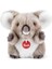 Fluffy Koala 1