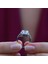 Round Kesim 3 Karat Tek Taş Model Starlight Diamond Set 5