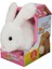 Sevimli Sesli Pilli Peluş Tavşan Robbie - 23 cm 2