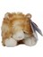 Yatan Sarı Beyaz Kedi Peluş 25 cm 2