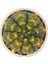 Gymnocalcium Sepia B / Kaktüs 3