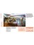 Virgin By Design - Nick Carson 4