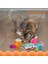 Festival Catnipli Kedi Oyuncağı 3' Lü Paket 5