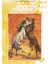 Horses No Atlar N6 - Vinciana Editrice 1