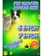 Çantalı Kedi Köpek Pet Kuaför Makas Tıraş Seti DHS506 5