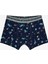 Erkek Çocuk Astro Dino Çok Renkli 2li Boxer 3