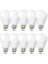 9W LED Ampul 10 Adet 1