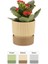Ixora 15 Saksı / Floralia Plant/ Kırılmaz Saksı / Forest / Dakota / Stone 1
