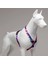 Lindo Dogs Pink Dream H Tipi Köpek Göğüs Tasması Mavi/pembe Beden Small 4
