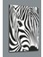 Zebra Deseni Cam Tablo 1