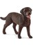 13834 Schleich - Dişi Labrador Retriever +3 Yaş 1