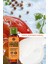 Konsantre Duş Jeli - Canlandırıcı Mango & Kişniş - 100ml 2