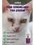 Kedi Kumu Koku Kedi Kumu Kokusu Kedi Bakım Pet 750Ml - Kedi Yüz Bakım Solüsyonu Set 4