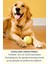 Kedi Kumu Koku Giderici Köpek Tuvalet Eğitim Spreyi Kedi Koku Giderici Köpek Koku Giderici Set 3