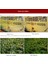 Güneş Tutulması Kamera Lens Filtresi Güneş Tutulması Filtresi Artırıcı Fotoğraf Lensi Çıkarılabilir Kamera Için Cep Tefonu ile Çalışır (Yurt Dışından) 1