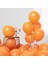 Turuncu Balon 30 Adet Pastel Mat Balon Büyük Boy 30 cm 2
