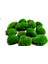 Kaya Yosunu Moss 2000 Cm² - Teraryum Zemini Canlı Yosun 3