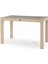 4 Kişilik 70 x 120 cm Rattan Masa Takımı Camlı Kolsuz Sandalye Bahçe Teras Takımı Oturma Grubu 2