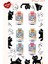 Kedi Çorbası 6'lı 1