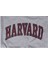 Harvard Yazılı Sweatshirt 3