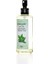 Kolonya Yeşil Çay Aromalı 100 ml - Cam Şişe 10 Adet 1