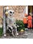Folyo Balon Halloween Iskelet 158*86CM Cadılar Bayramı Isklet Şeklinde Folyo Balon 3D 1