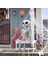 Folyo Balon Halloween Iskelet 158*86CM Cadılar Bayramı Isklet Şeklinde Folyo Balon 3D 2