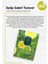 Limon 50'li, 150'LI Okyanus ve Mandalinalı, Avokadolu Losyon 500 ml Rosie 3