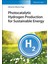 Photocatalytic Hydrogen Production For Sustainable Energy - Alberto Puga 1
