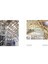 Shigeru Ban Architects: Swatch And Omega Campus - Philip Jodidio 4