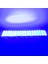 Modül LED 12V 3.6W Mavi 2835 (4886) 2