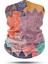 Motorcu Boyunlugu Unisex Bandana Motosiklet Bandana Boyunluk Kadın Erkek Boyunluk Headwear BDK445 2