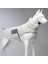 Dogs Air Puff Pearl Köpek Montu Krem Beden 6 1