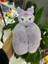 Cinnamoroll Kuromi Peluş Katlanır Kulaklık 2