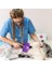 Otomatik Temizlenebilen Tuşlu Pratik Kedi Köpek Tüy Toplama Fırçası (4886) 3