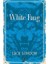 White Fang 1