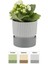 IXORA15 Polyester Saksı / Floralia Plant 1