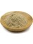 Devil's Claw (Şeytan Pençesi) Saf Hammadde 50 gr 1